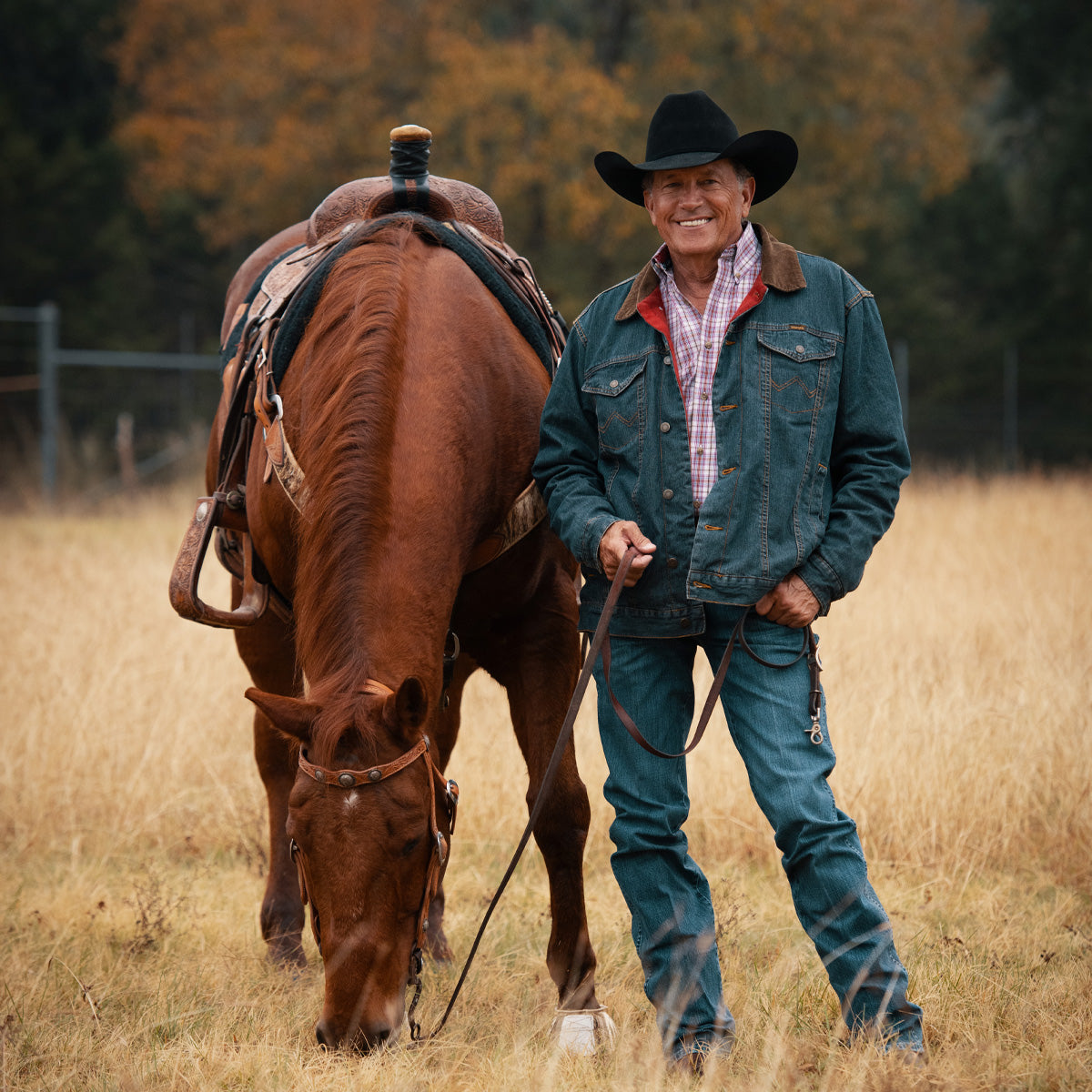 6X City Limits - 75 Profile George Strait Cowboy Hat - Resistol Popular