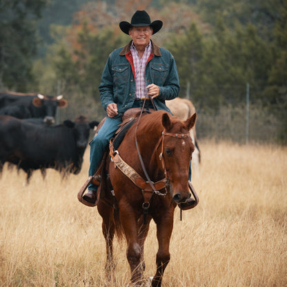 6X Logan - George Strait Cowboy Hat - Resistol Special Offer