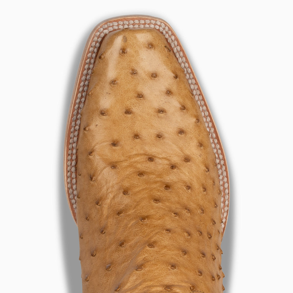 Saddle Tan Full Quill Ostrich - Cutter - Resistol Sale