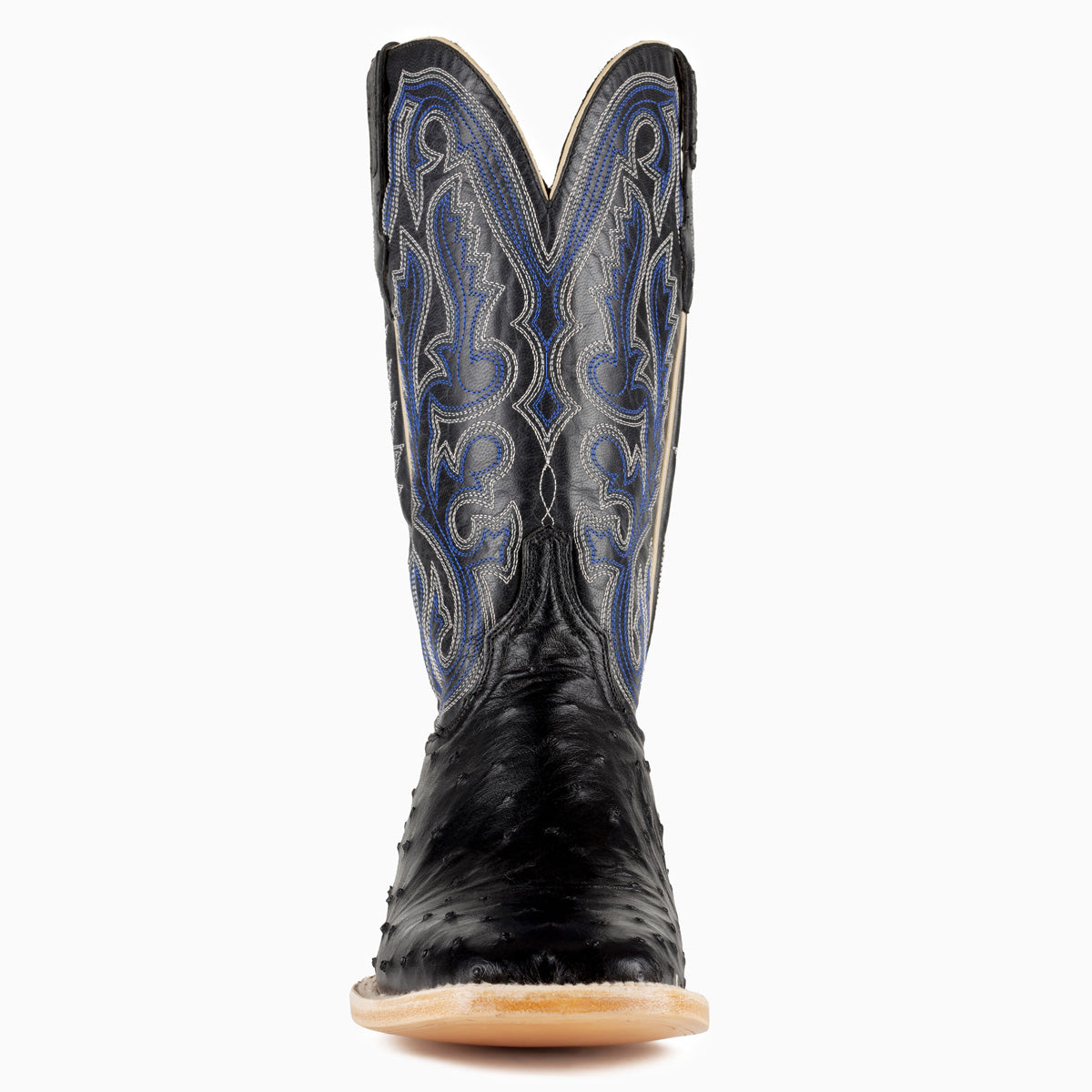 Black Full Quill Ostrich - Square - Resistol Trending