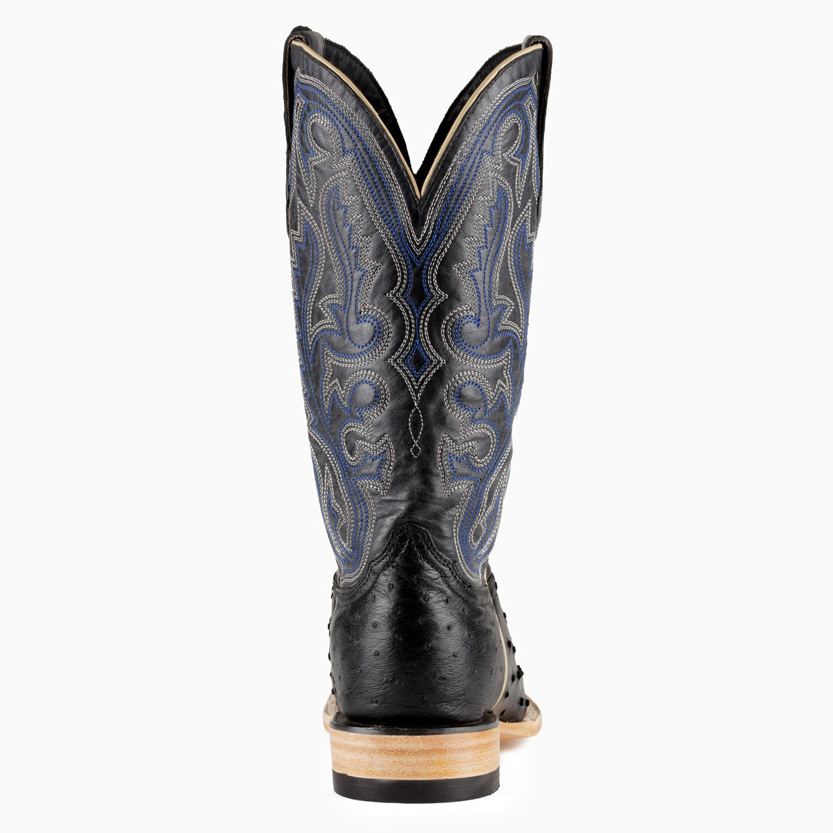 Black Full Quill Ostrich - Square - Resistol Trending