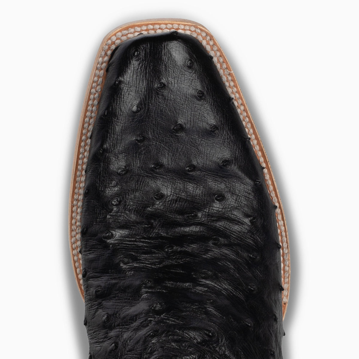 Black Full Quill Ostrich - Cutter - Resistol New
