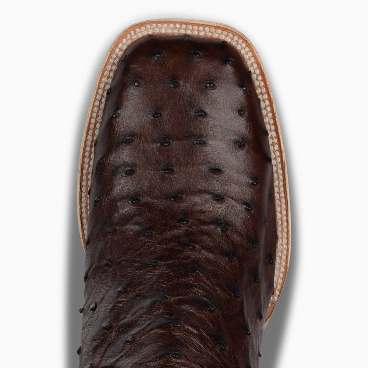 Sienna Full Quill Ostrich - Square - Resistol Essential