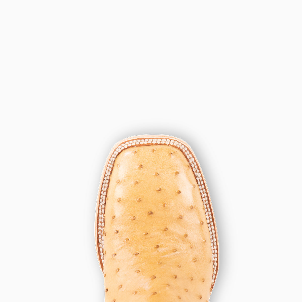 Saddle Tan Full Quill Ostrich - Square - Resistol New