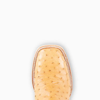Saddle Tan Full Quill Ostrich - Square - Resistol New