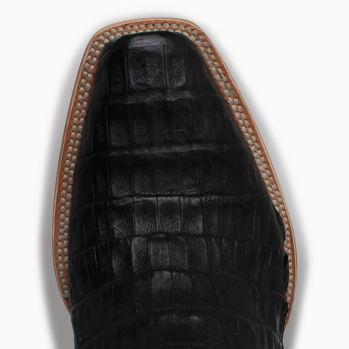 Black Caiman - Cutter - Resistol Deals
