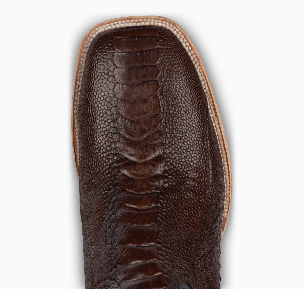 Chocolate Ostrich Leg - Square - Resistol Trusted