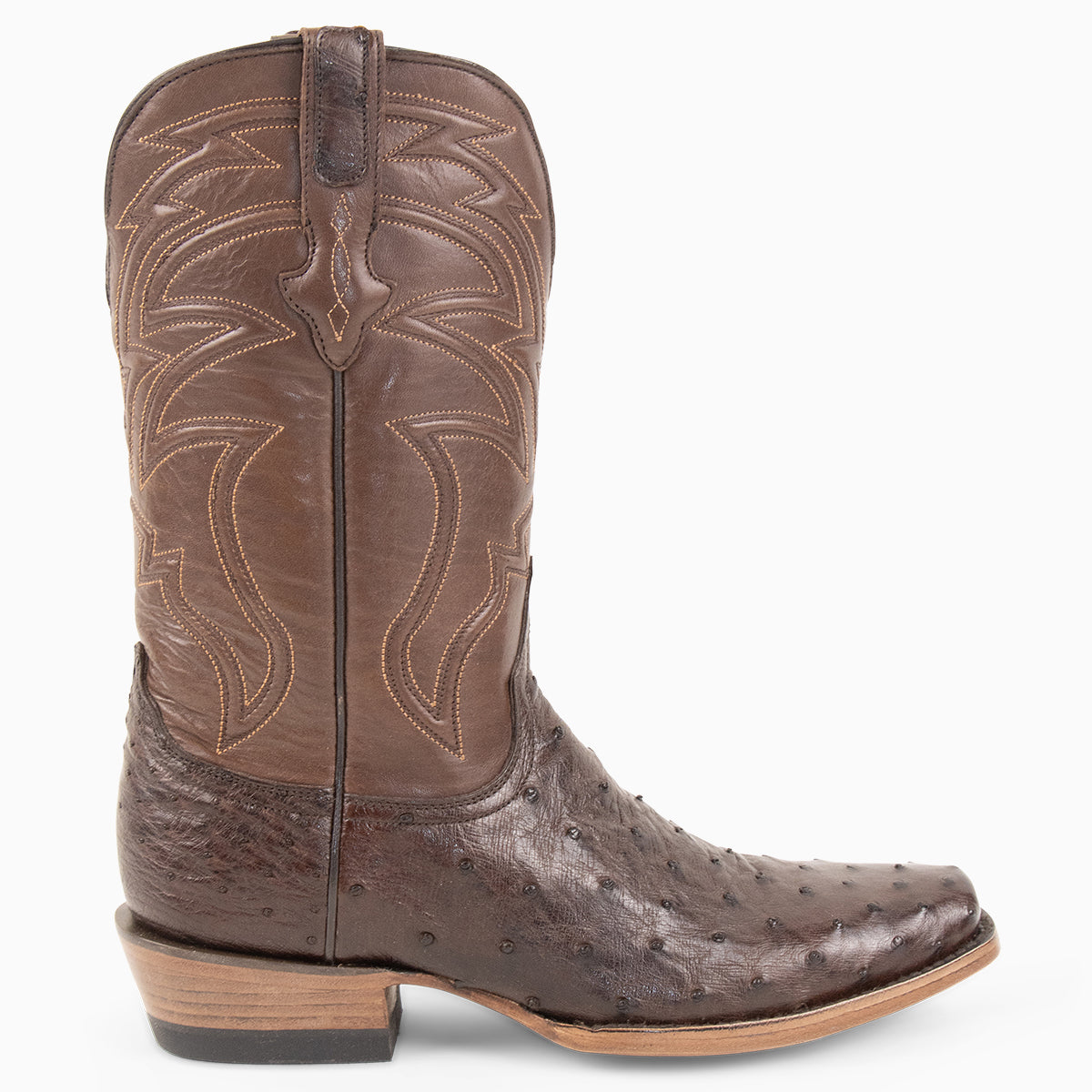 Brown Full Quill Ostrich - Cutter - Resistol Smart Buy