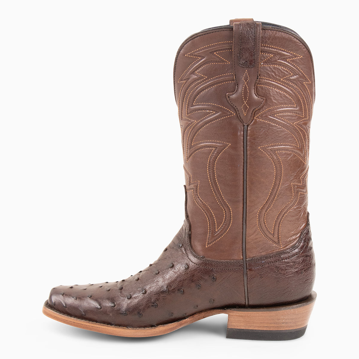 Brown Full Quill Ostrich - Cutter - Resistol Smart Buy