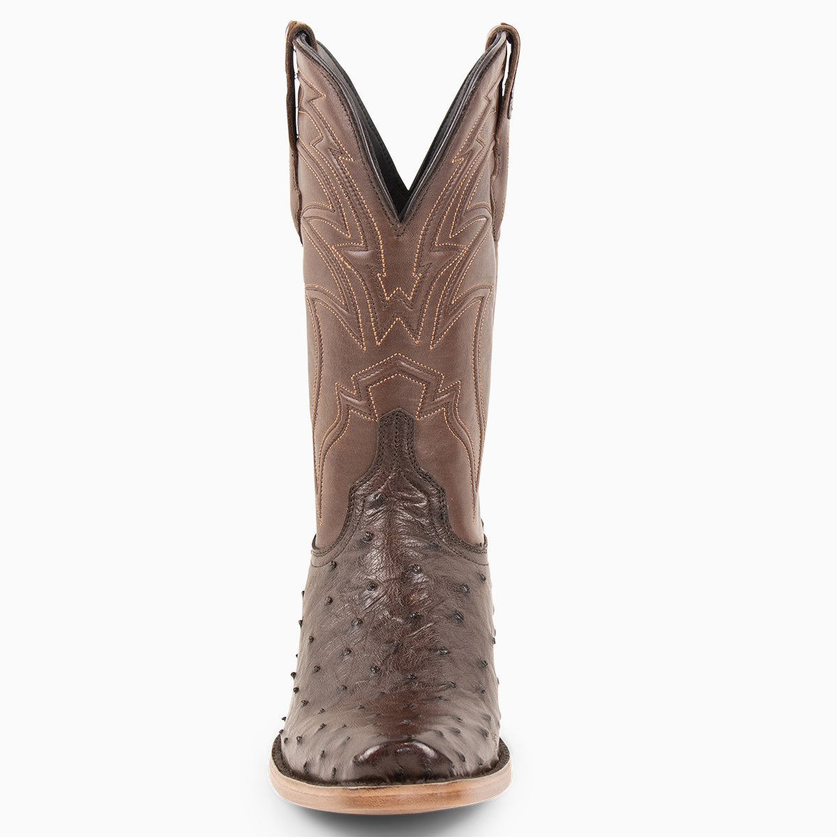 Brown Full Quill Ostrich - Cutter - Resistol Smart Buy
