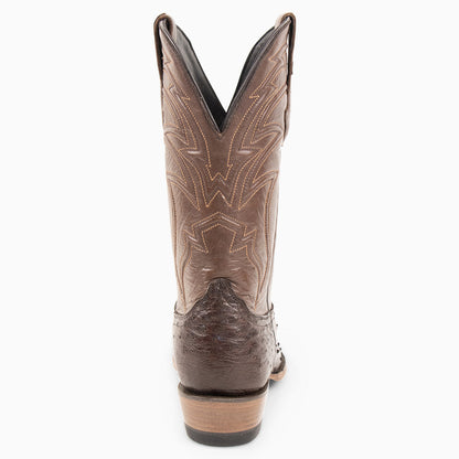 Brown Full Quill Ostrich - Cutter - Resistol Smart Buy