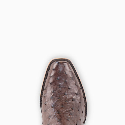 Brown Full Quill Ostrich - Cutter - Resistol Smart Buy