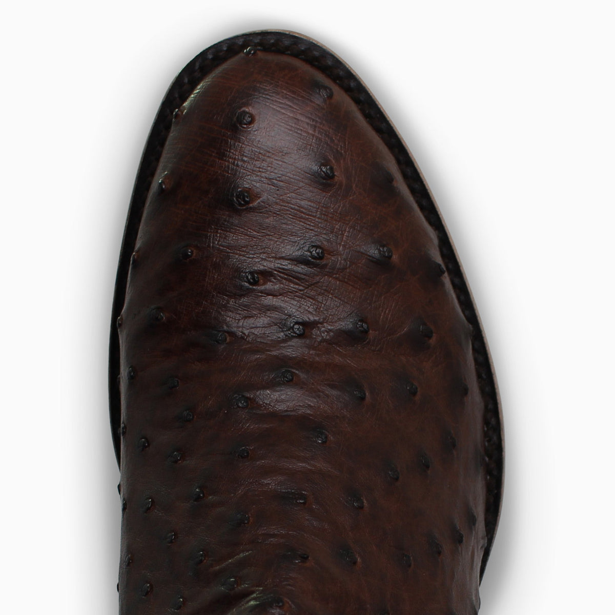 Brown Full Quill - Round - Resistol Smart Buy